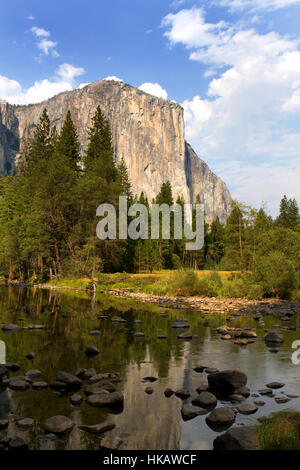 El Capitan vu de l'ensemble de la Merced River dans la vallée de Yosemite National Park, California, USA. Banque D'Images
