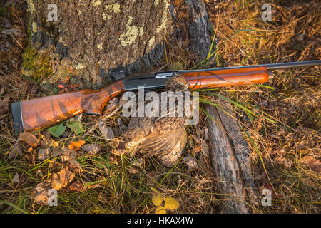 Fusil Remington et la gélinotte huppée Banque D'Images