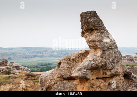 Hoodoo badlands du Parc provincial Writing-on-Stone et Aisinaipi Site historique national en Alberta, Canada. Banque D'Images