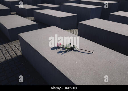 Berlin, Berlin, Allemagne. 27 Jan, 2017. Une rose rouge est placé sur l'un des blocs du Mémorial aux Juifs assassinés d'Europe, également connu comme le mémorial de l'Holocauste (allemand : Holocaust-Mahnmal) sur l'International Holocaust Remembrance Day, un jour commémoratif de l'international le 27 janvier. Le monument est composé de 2711 blocs de béton rectangulaires, disposés dans une grille de formation. Crédit : Jan Scheunert/ZUMA/Alamy Fil Live News Banque D'Images