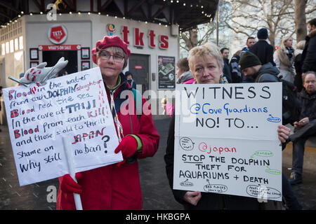 La place Leicester, Royaume-Uni. 28 janvier, 2017. Allumer le Taiji- arrêter le massacre des dauphins et de fin de captivité manifestation à Leicester Square London Crédit : Keith Larby/Alamy Live News Banque D'Images