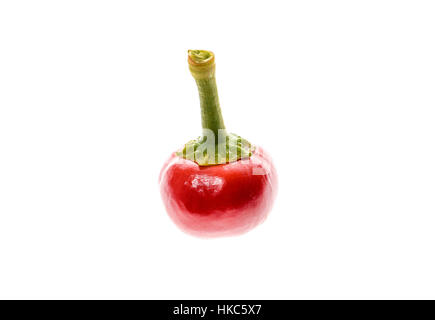 Big Red Hot Chili Peppers cerise isolé sur fond blanc. Variété très populaire du Chili pour la farce et décapage. Banque D'Images