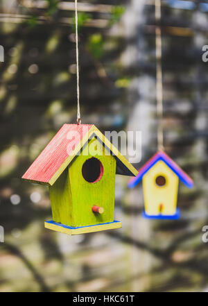 Deux old weathered bricolage cabanes suspendues à l'arbre. Petite maison d'oiseaux colorés avec des murs verts. Banque D'Images