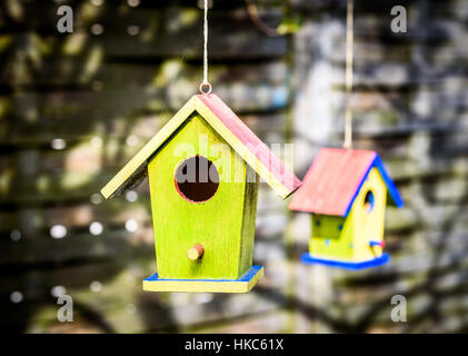 Deux old weathered bricolage cabanes suspendues à l'arbre. Petite maison d'oiseaux colorés avec des murs verts. Banque D'Images