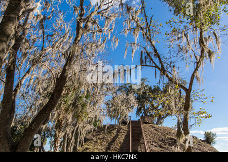 Temple Mound, un monticule de terre amérindienne au Crystal River Archaeological State Park dans le comté de Citrus, en Floride. Banque D'Images