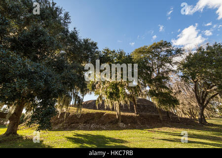 Temple Mound, un monticule de terre amérindienne au Crystal River Archaeological State Park dans le comté de Citrus, en Floride. Banque D'Images