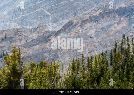 Couches de gneiss bagués création de motifs abstraits dans la région de Paintbrush Canyon dans le Teton Mountains. Parc National de Grand Teton, Wyoming Banque D'Images