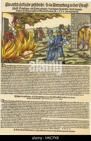 Cette édition de 1555 du journal 'Zeitung Derenburg' donne un aperçu des événements historiques de l'époque, offrant un aperçu des reportages du XVIe siècle. L’article met en lumière le contexte social et politique de l’époque. Banque D'Images