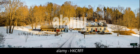 New England Cape style home et bûcher avec des panneaux solaires sur le toit, la neige sur le sol et les arbres en fin d'après-midi Banque D'Images