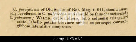 Illustration botanique de Cypripedium parviflorum, communément appelé orchidée de pantoufle de la dame jaune, par Curtis de 1830. Le dessin détaillé met en évidence la forme unique de la plante et sa coloration vibrante, qui fait partie des études botaniques du XIXe siècle. Banque D'Images