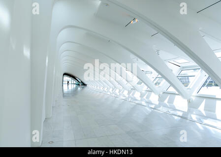 Milwaukee Art Museum conçu par Santiago Calatrava. Banque D'Images