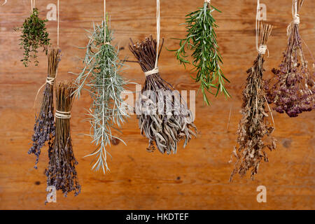 Des herbes séchées (thym, Lavande, Sauge, Romarin, verveine) accroché en face de mur en bois, Allemagne Banque D'Images