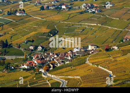 Vignes en automne avec vue sur le village viticole Riex, Lavaux, Canton de Vaud, Suisse Banque D'Images