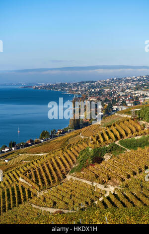 Vignes en automne, Lausanne à l'arrière, Lavaux, Lac de Genève, Canton de Vaud, Suisse Banque D'Images