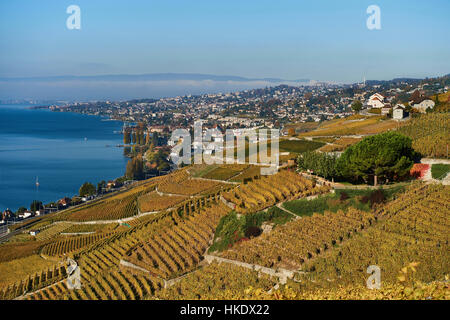 Vignes en automne, Lausanne à l'arrière, Lavaux, Lac de Genève, Canton de Vaud, Suisse Banque D'Images