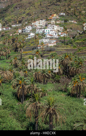 Maisons à flanc dans la Valle Gran Rey sur l'île de La Gomera, Îles Canaries, Espagne Banque D'Images