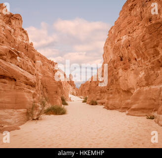 Sand Canyon Blanc sur la péninsule du Sinaï, Égypte Banque D'Images