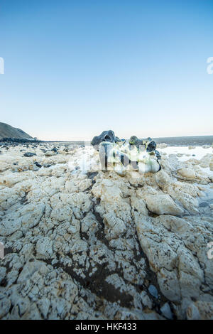 Gros nodules de silex de la craie sur beach Banque D'Images