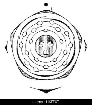 Le diagramme floral de Sorbus domestica, communément appelé arbre de service, illustre la structure complexe de ses fleurs. Cette illustration botanique met en évidence les fleurs de la plante et leur importance en botanique, fournissant une représentation précise de ses parties reproductrices. Banque D'Images