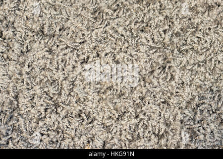 Un gros plan plein cadre dans un tapis gris et noir. Banque D'Images