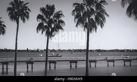 Rangée de grands palmiers à proximité d'une longue jetée, Golfe du Mexique, en Floride Banque D'Images