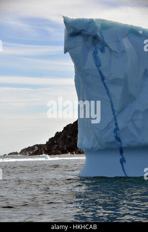 Iceberg près de St. Anthony, Terre-Neuve Banque D'Images