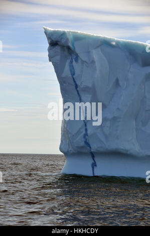 Iceberg près de St. Anthony, Terre-Neuve Banque D'Images