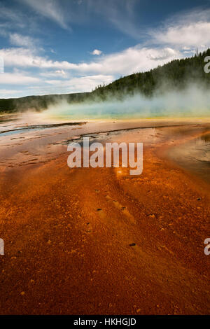 WY02230-00...WYOMING - Les couleurs étonnantes du Grand Prismatic Spring dans le Parc National de Yellowstone. Banque D'Images