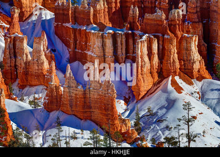 Bryce Canyon, abstracts Banque D'Images