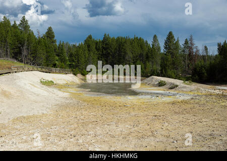 Région du volcan de boue, le Parc National de Yellowstone, Wyoming, USA Banque D'Images