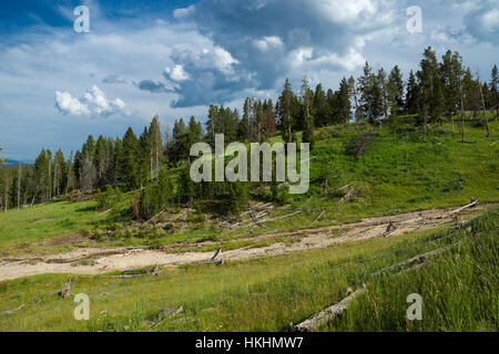 Région du volcan de boue, le Parc National de Yellowstone, Wyoming, USA Banque D'Images