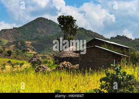 Maisons traditionnelles au toit de chaume dans la montagne, Lalibela, Éthiopie Banque D'Images