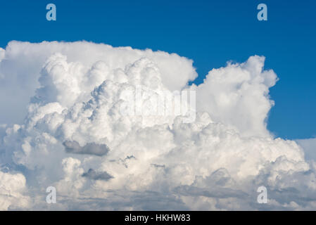 Les cumulus qui se forme sur un jour d'été bleu Banque D'Images