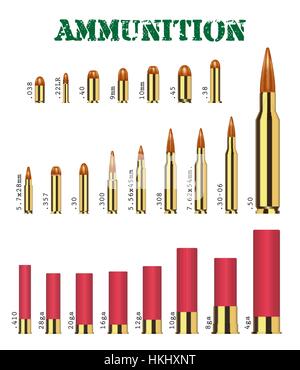 Du vrai jeu de nombreux types de munitions d'armes à feu vector Illustration de Vecteur