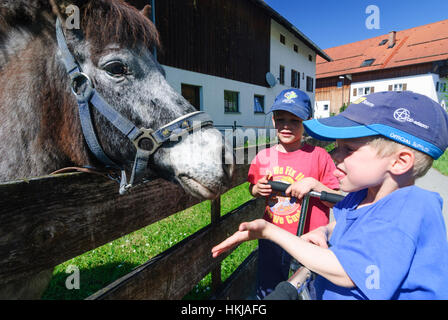 Garçon : l'alimentation, la ferme, Oberbayern, Upper Bavaria, Bayern, Bavière, Allemagne Banque D'Images