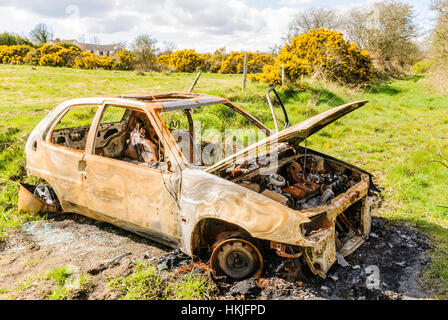 Voiture brûlée dans un chemin de campagne. Banque D'Images