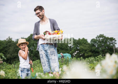 Mid adult man avec son fils la cueillette des légumes de jardin communautaire, Bavière, Allemagne Banque D'Images