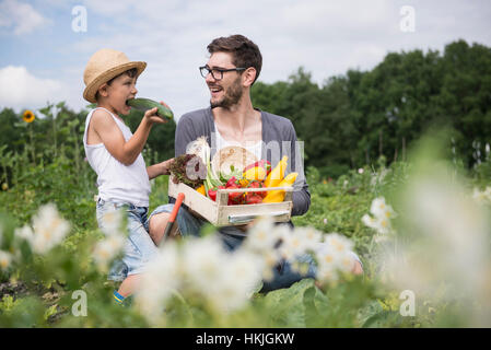 Mid adult man avec son fils la cueillette des légumes de jardin communautaire, Bavière, Allemagne Banque D'Images