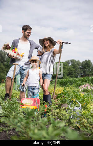 La récolte de la famille des légumes dans le jardin communautaire, Bavière, Allemagne Banque D'Images