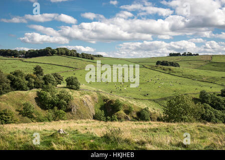 Belle journée d'été dans la zone de pic blanc du parc national de Peak District, Derbyshire. Voir à partir de la colline au-dessus de Dovedale. Banque D'Images