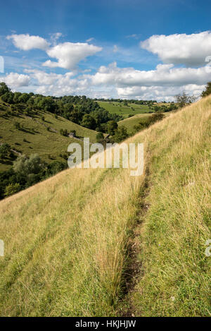 Herbacé colline au-dessus de Dovedale dans le parc national de Peak District sur une journée ensoleillée. Banque D'Images