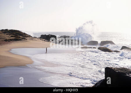 Femme marche sur la plage, Province de l'Ouest, Sri Lanka Banque D'Images