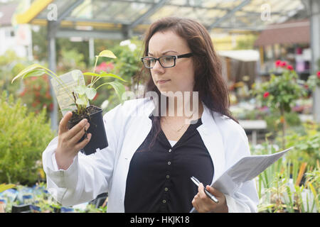 Female scientist inspecte l'installation à Fribourg im Breisgau,serre,Freiburg im Breisgau, Allemagne Banque D'Images