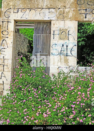 Envahis par des immeubles en ruines abandonnées après le tremblement de terre de 1953 dans le village d'Assos sur l'île grecque de Céphalonie en Grèce. Banque D'Images