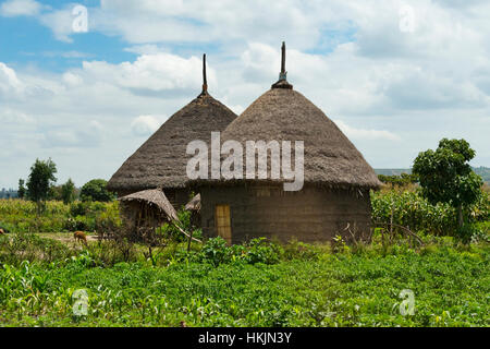 Maisons traditionnelles au toit de chaume, thiopia Banque D'Images