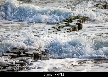 Épis sur les rives de la mer Baltique sur un jour de tempête Banque D'Images