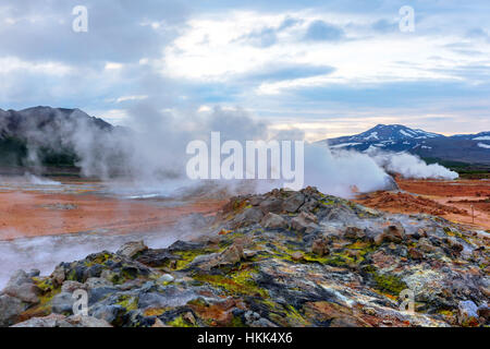 Fumeurs fumerolles sur Hverarond Valley, au nord de l'Islande, de l'Europe. Banque D'Images