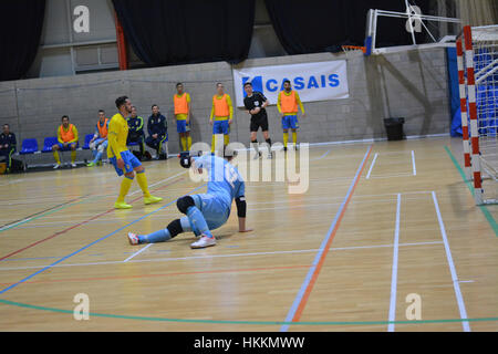 Gibraltar. 29 janvier, 2017. Le Monténégro s'assurer une place dans l'étape suivante de l'UEFA Futsal d'Euros avec une victoire contre la Suède dans le groupe préliminaire G correspondent à Gibraltar. Une victoire 11-4 a été le deuxième en deux jours, après avoir battu les hôtes Gibraltar le jour précédent. Crédit : Stephen Ignacio/Alamy Live News Banque D'Images