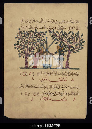 Une représentation de deux médecins préparant des médicaments, attribuée à Abd Allah ibn Fadl. Cette œuvre, du Walters Art Museum, présente la pratique détaillée de la médecine dans le monde islamique médiéval. Il met en évidence la compréhension avancée de la médecine au cours de cette période et reflète la culture de l'échange scientifique entre l'Orient et l'Occident. Banque D'Images
