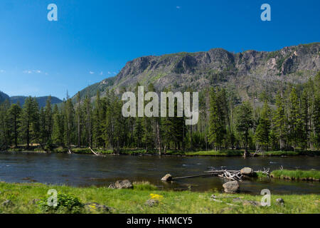 Madison, le Parc National de Yellowstone, Wyoming, USA Banque D'Images